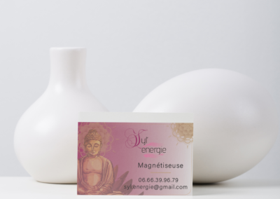 Carte de Visite Syl Energie